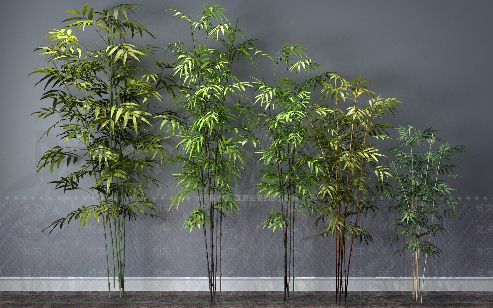 现代植物3D模型下载【ID:332249758】