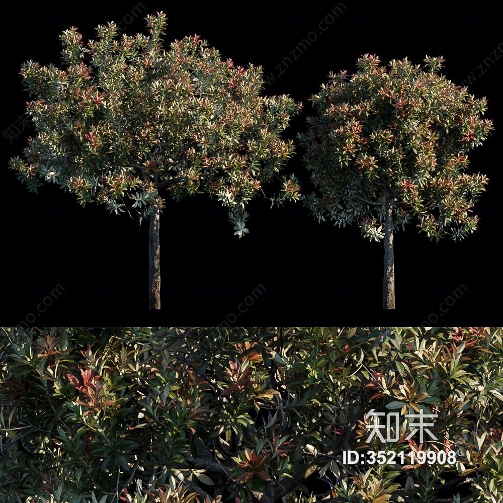 现代景观树3D模型下载【ID:352119908】