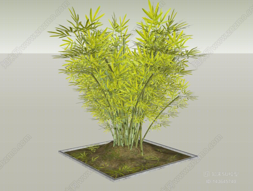 现代景观竹子SU模型下载【ID:143645740】