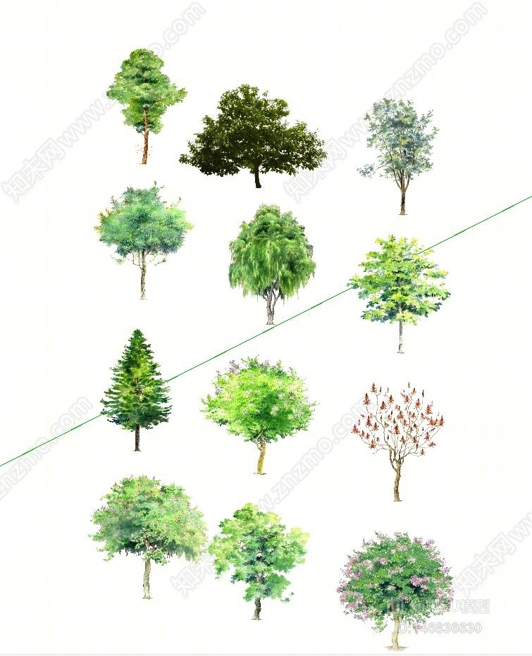 树SU模型下载【ID:146836630】