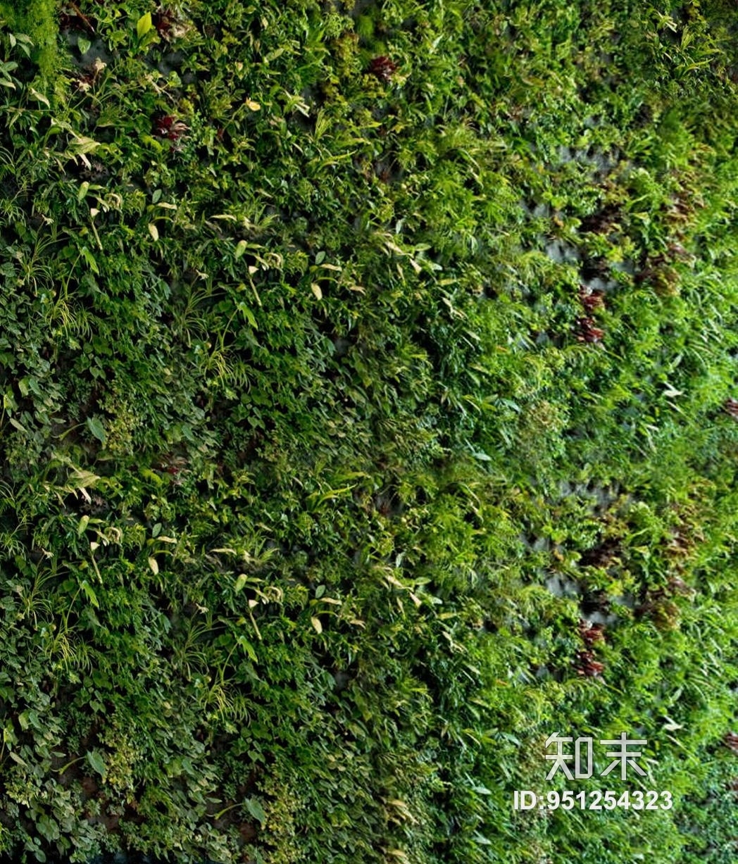 植物墙贴图下载【ID:951254323】