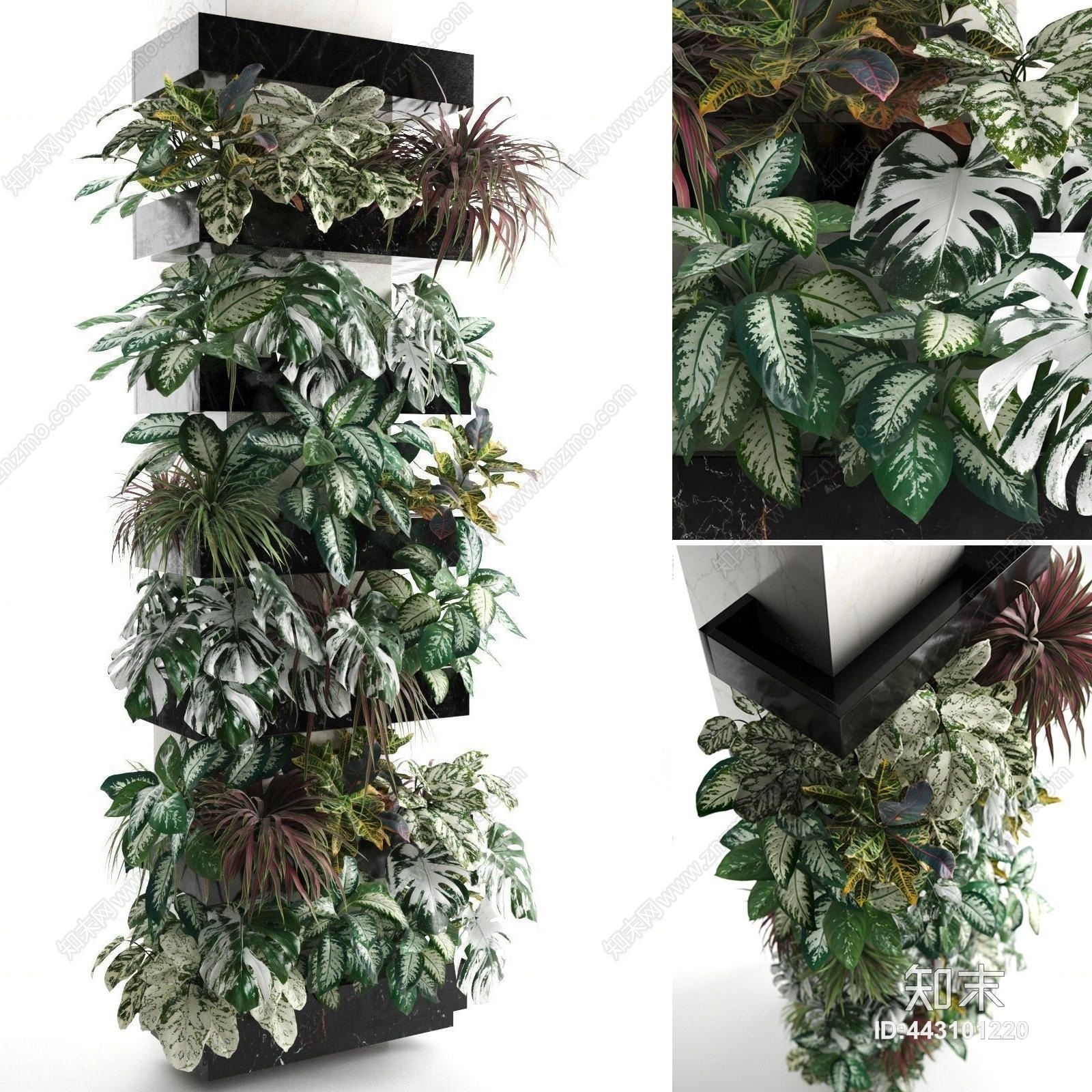 现代绿植墙3D模型下载【ID:443101220】