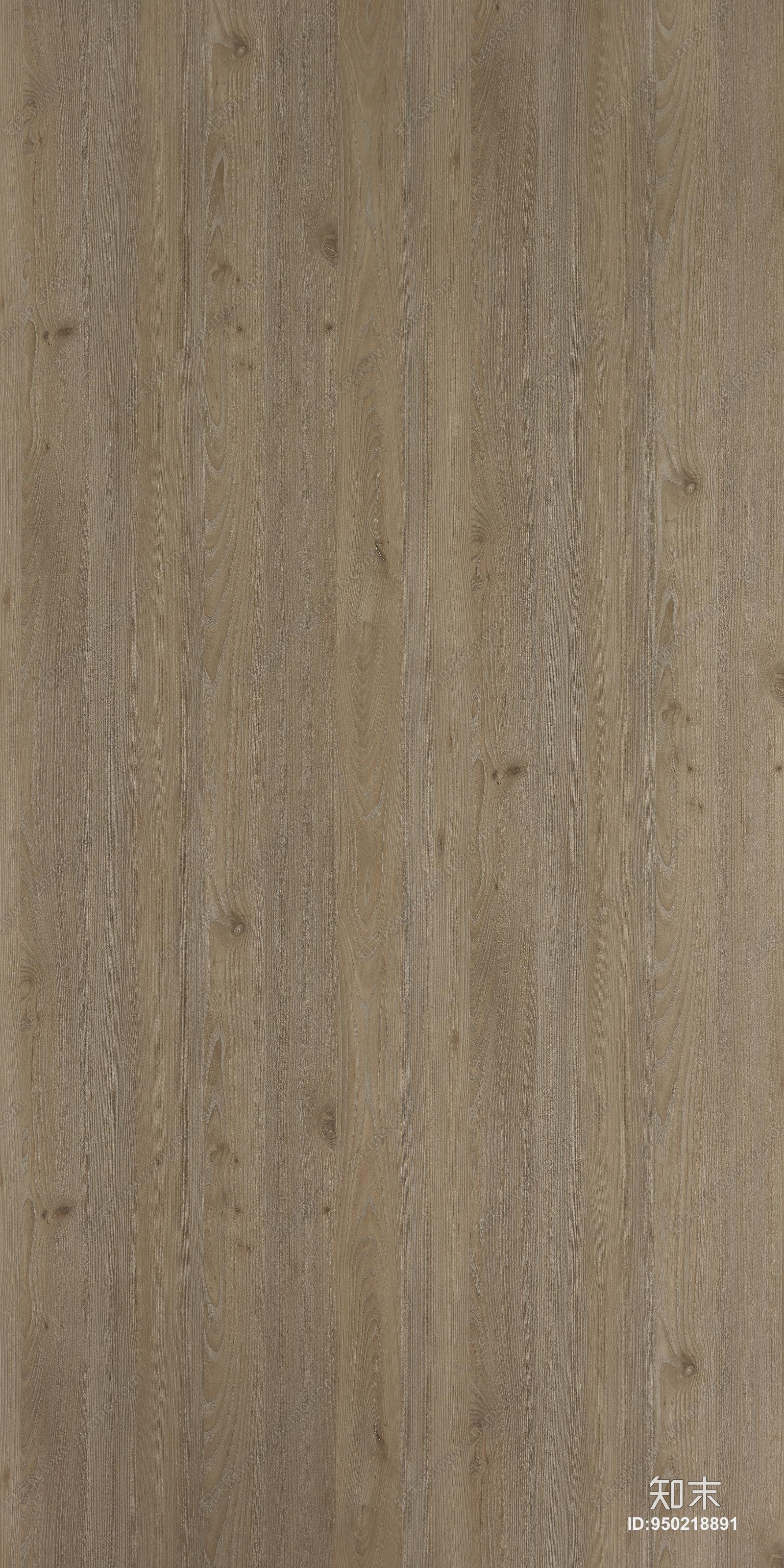 沙点梣木木纹材质贴图下载【id:950218891】