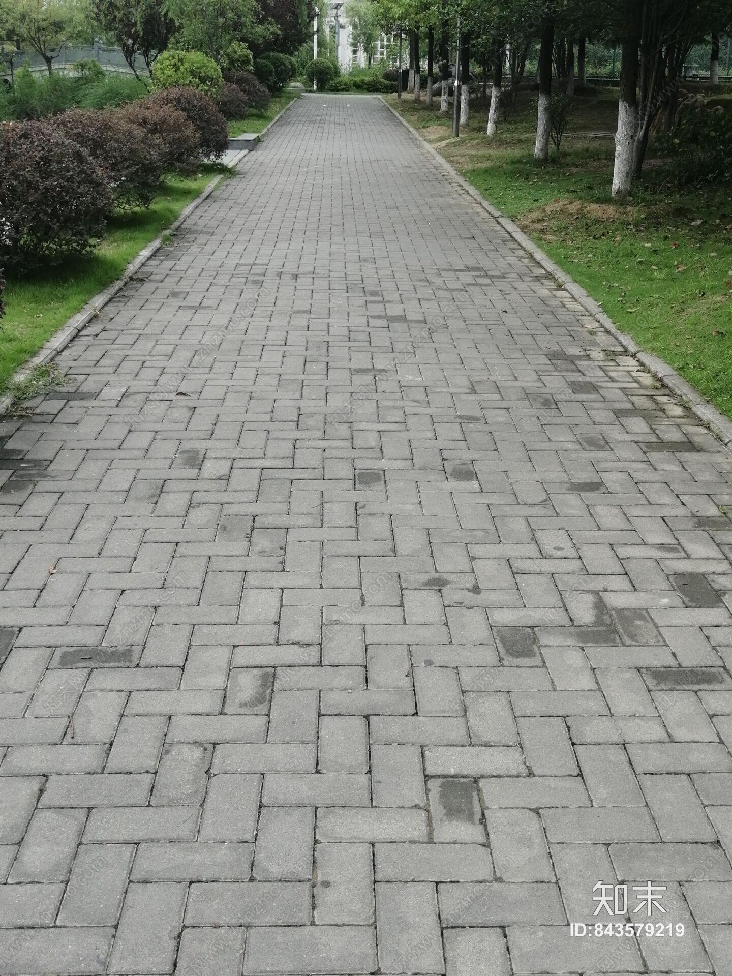 外景公园小路贴图下载【ID:843579219】
