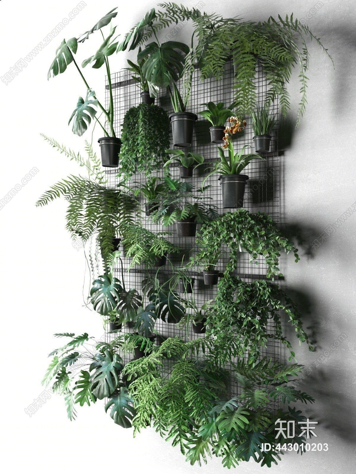 现代绿植盆栽植物墙组合3D模型下载【ID:443010203】