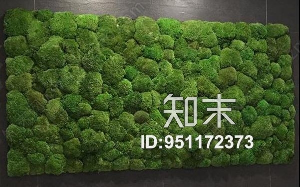 植物墙贴图下载【ID:951172373】
