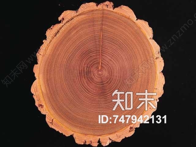 超清年轮木纹贴图下载【ID:747942131】