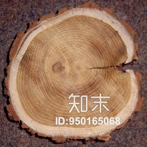 年轮高清贴图材质