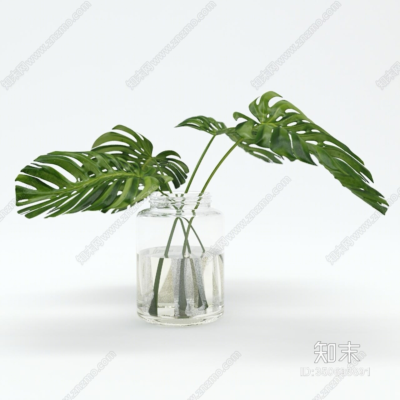 现代水生植物3D模型下载【ID:350693891】