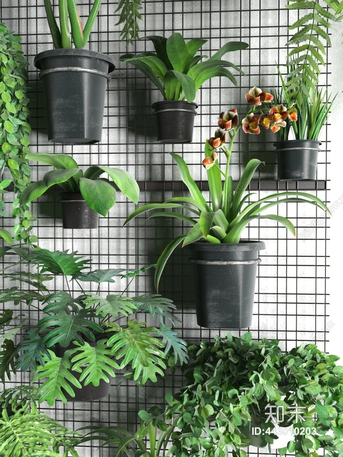 现代绿植盆栽植物墙组合3D模型下载【ID:443010203】
