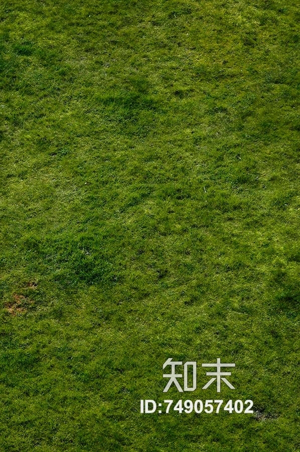 地面草坪绿地贴图下载【ID:749057402】