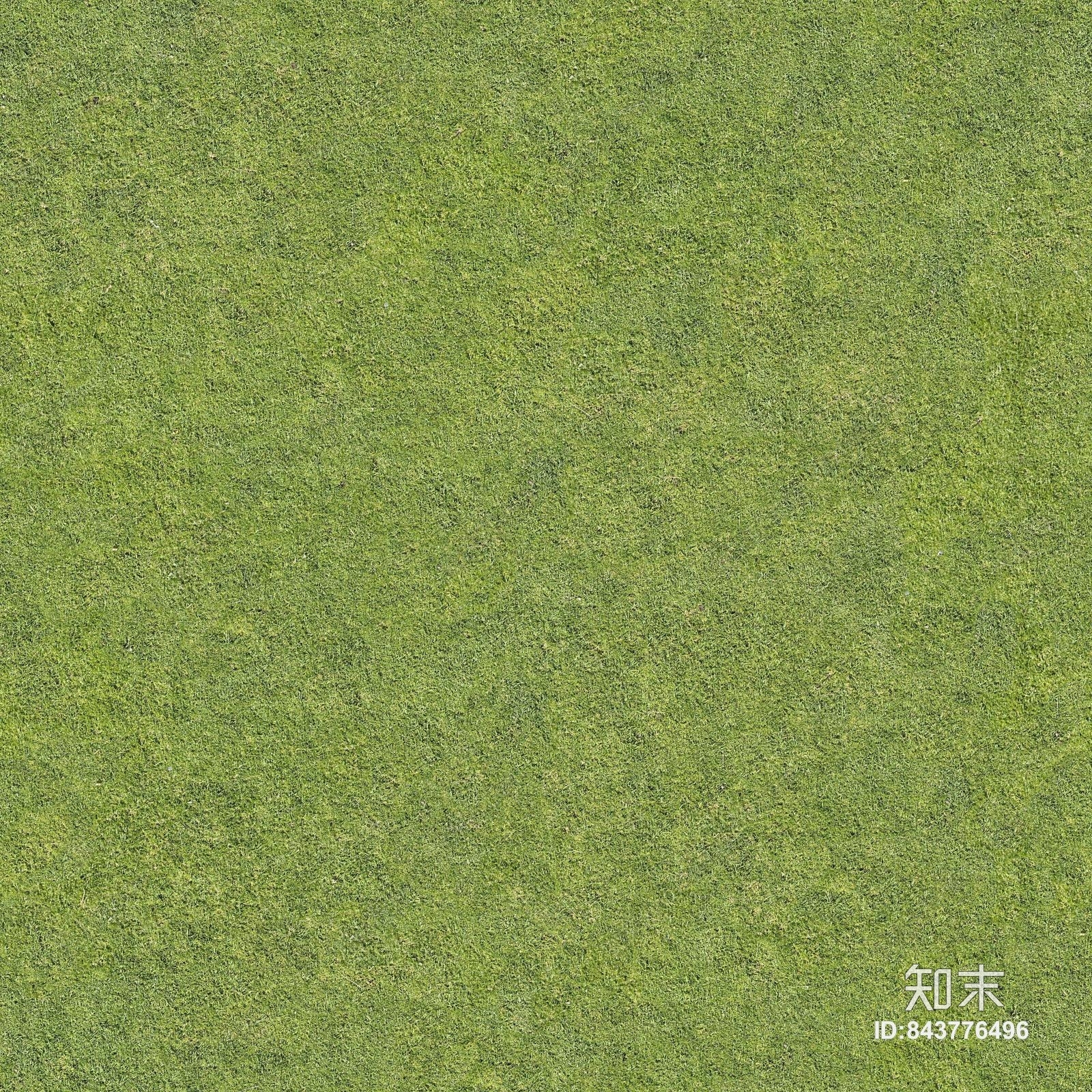 草坪草地贴图下载【ID:843776496】
