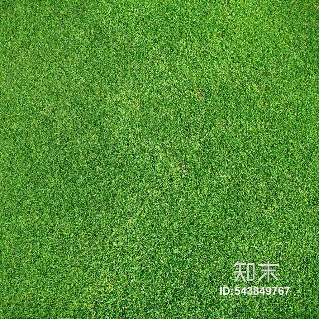 草地草坪贴图贴图下载【ID:543849767】