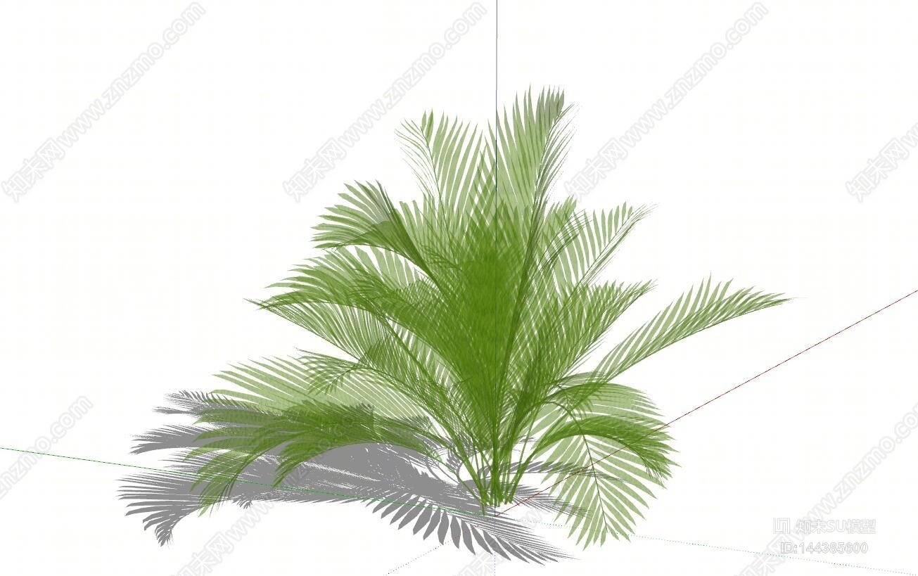 现代热带棕榈树SU模型下载【ID:144385600】