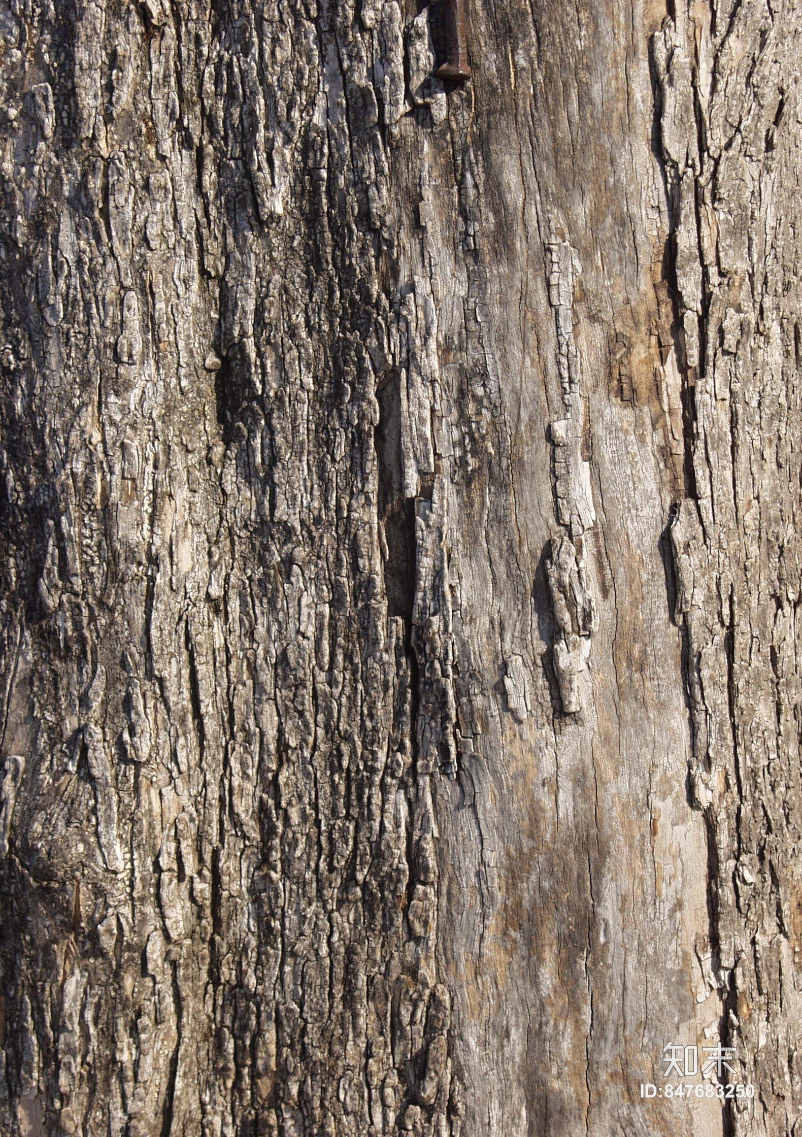 自然元素贴图下载