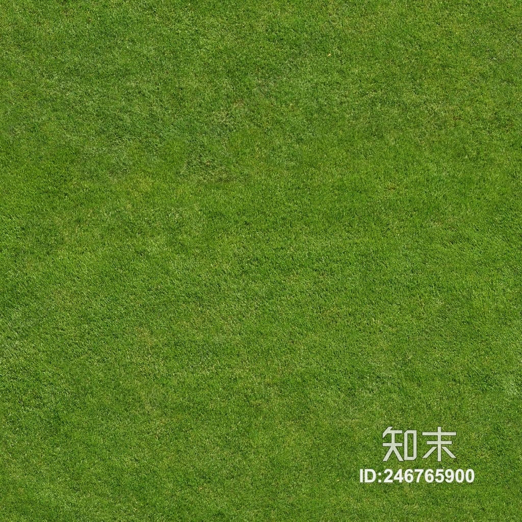 植物类贴图下载【ID:246765900】