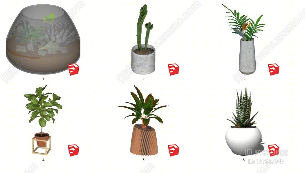 现代配景植物SU模型下载【ID:147387847】
