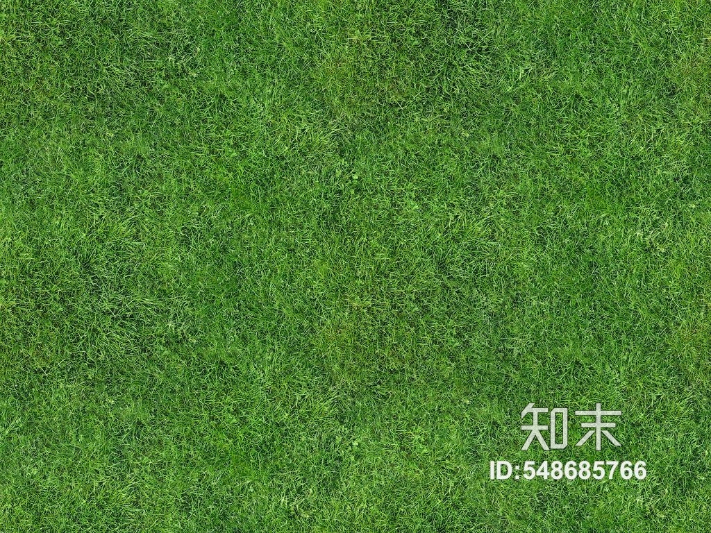草地草坪贴图贴图下载【ID:548685766】