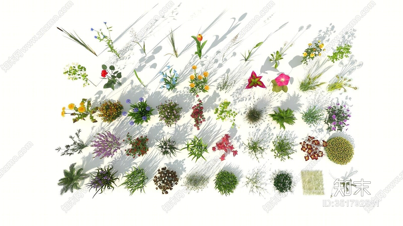 现代花草3D模型下载【ID:351792541】