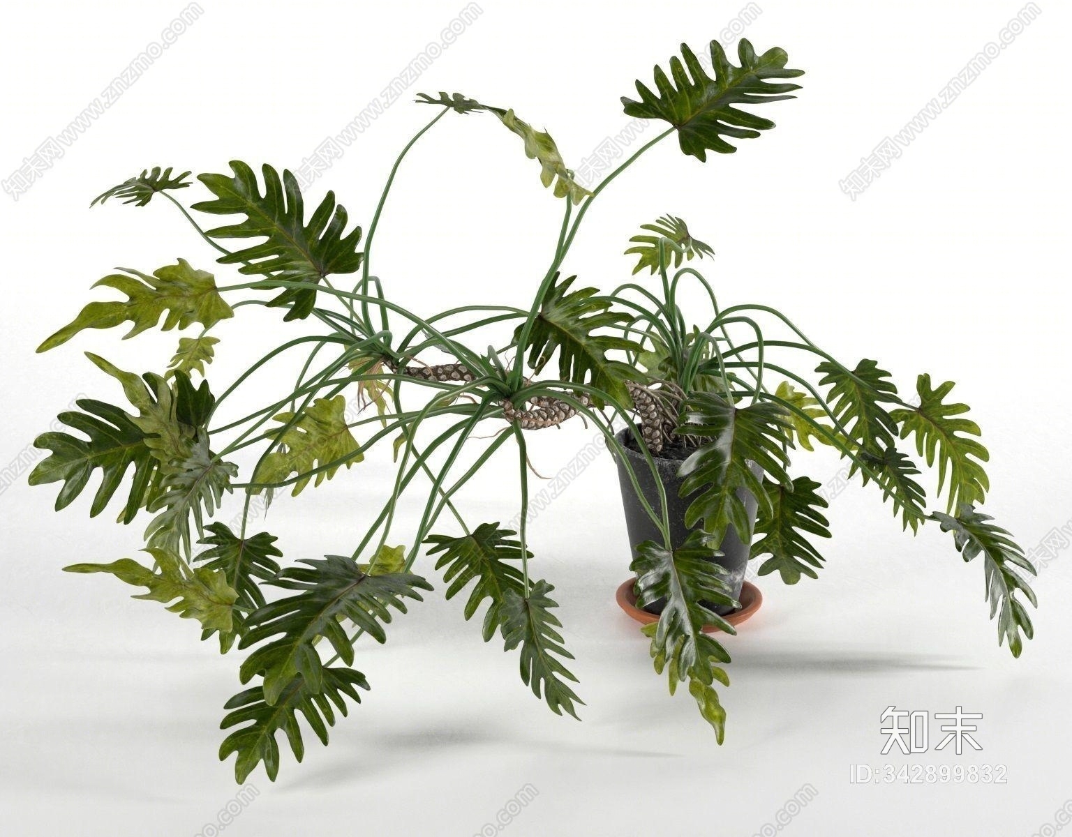 现代绿植盆栽3D模型下载【ID:342899832】