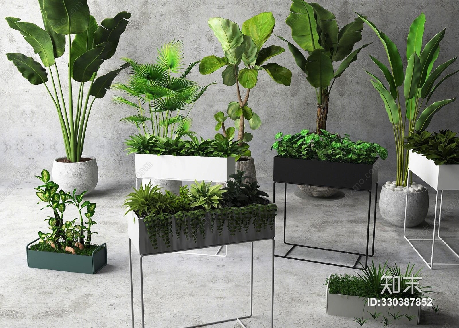 植物盆栽花草花架3D模型下载【ID:330387852】