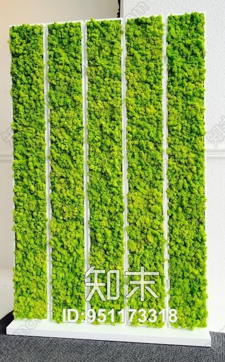 植物墙贴图下载【ID:951173318】