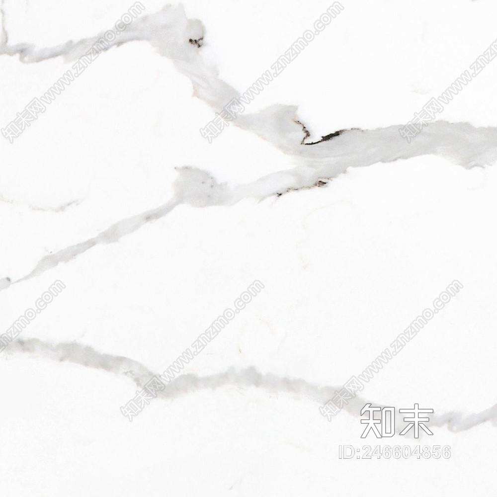 子非鱼贴图下载【ID:246604856】