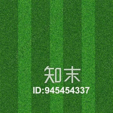 室外草地高清贴图塑胶跑道操场贴图下载【ID:945454337】