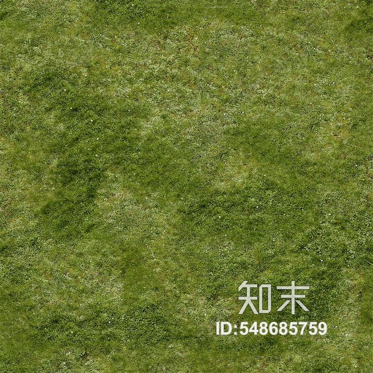 草地草坪贴图贴图下载【ID:548685759】