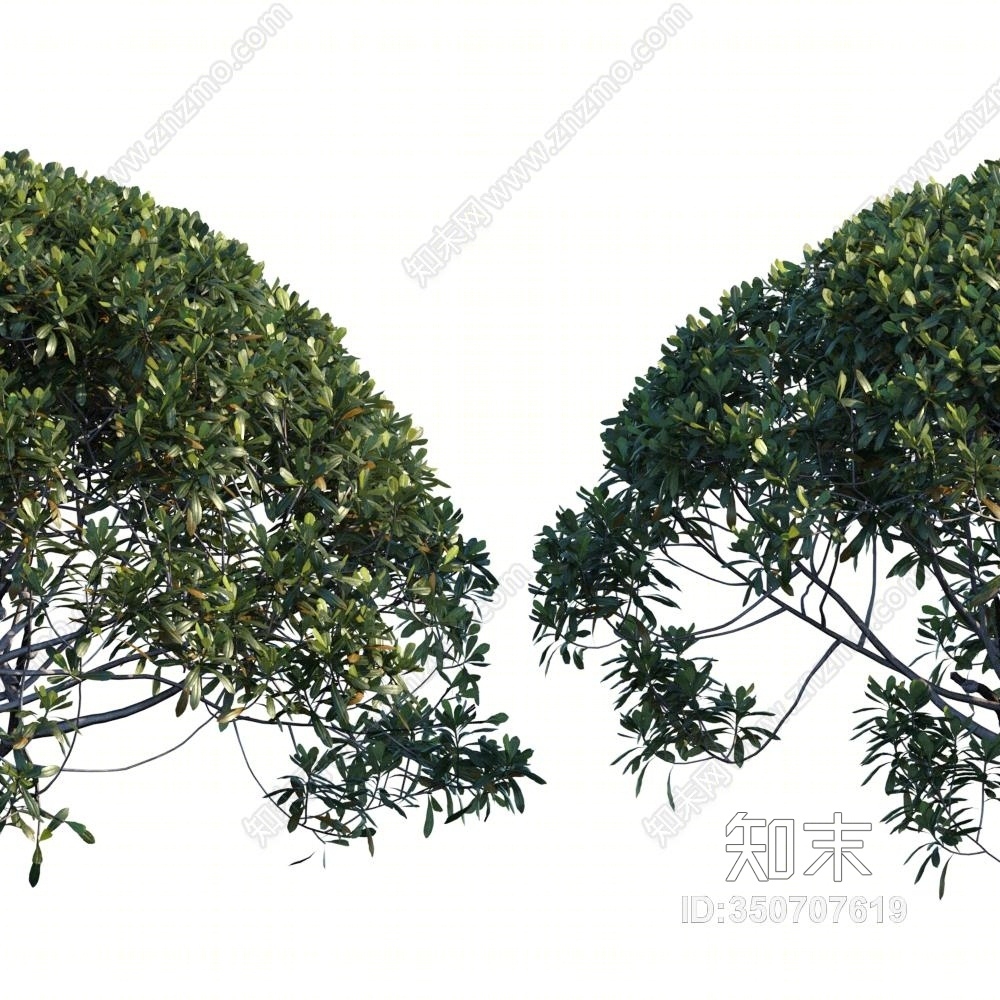 现代树木3D模型下载【ID:350707619】
