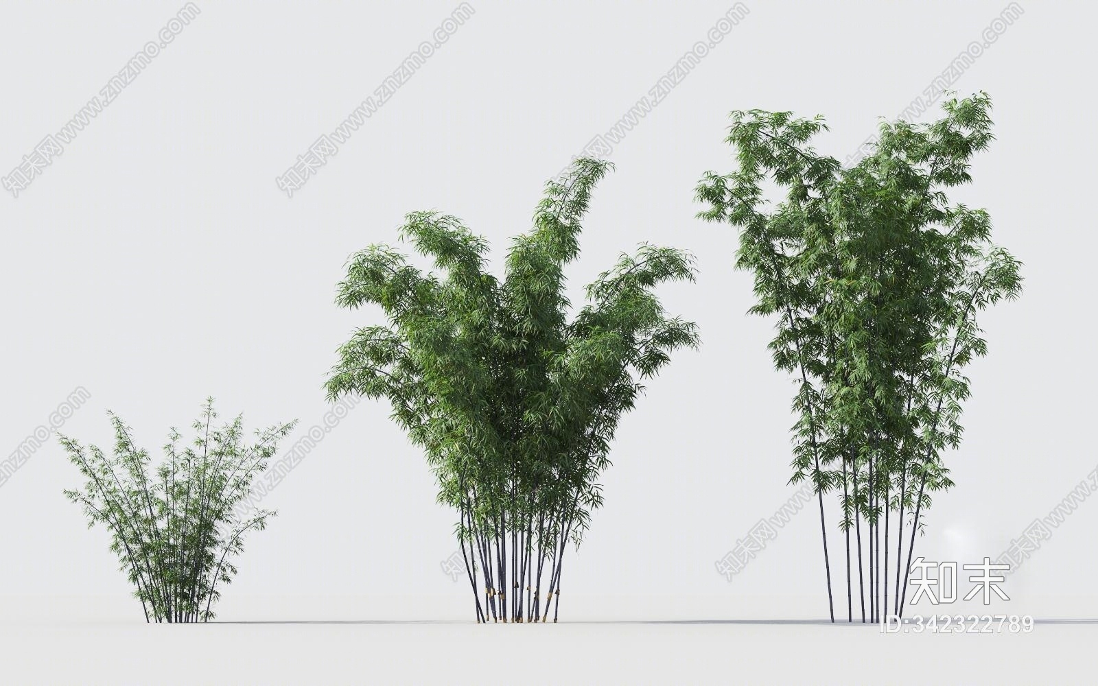 现代绿植竹子组合3D模型下载【ID:342322789】