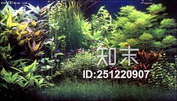 高清植物贴图贴图下载【ID:251220907】