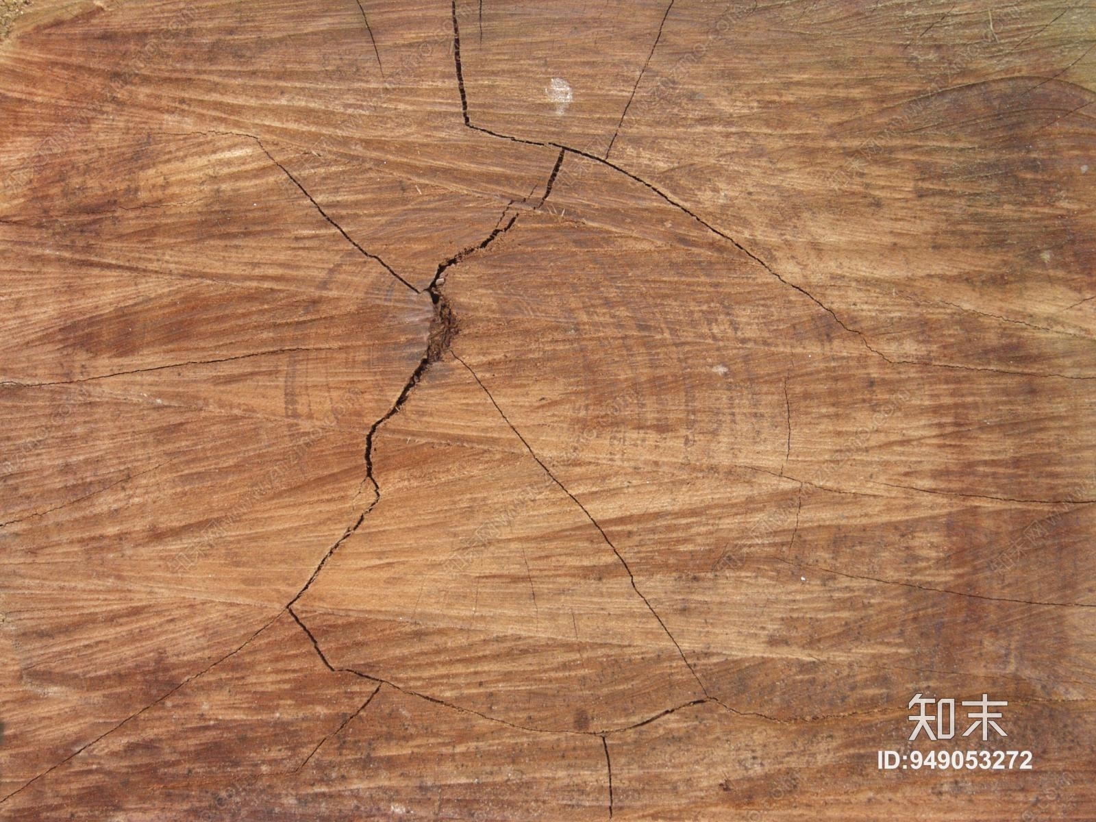 高清树皮贴图老木头贴图下载【ID:949053272】