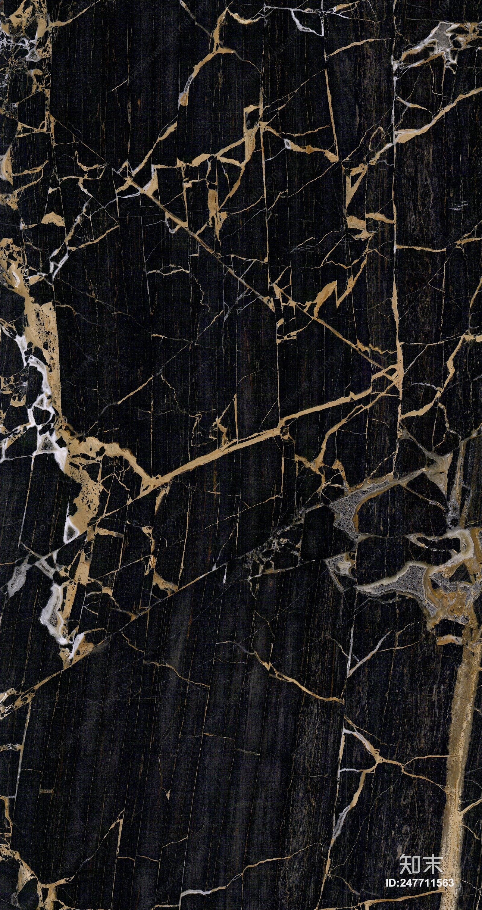 子非鱼贴图下载【ID:247711563】