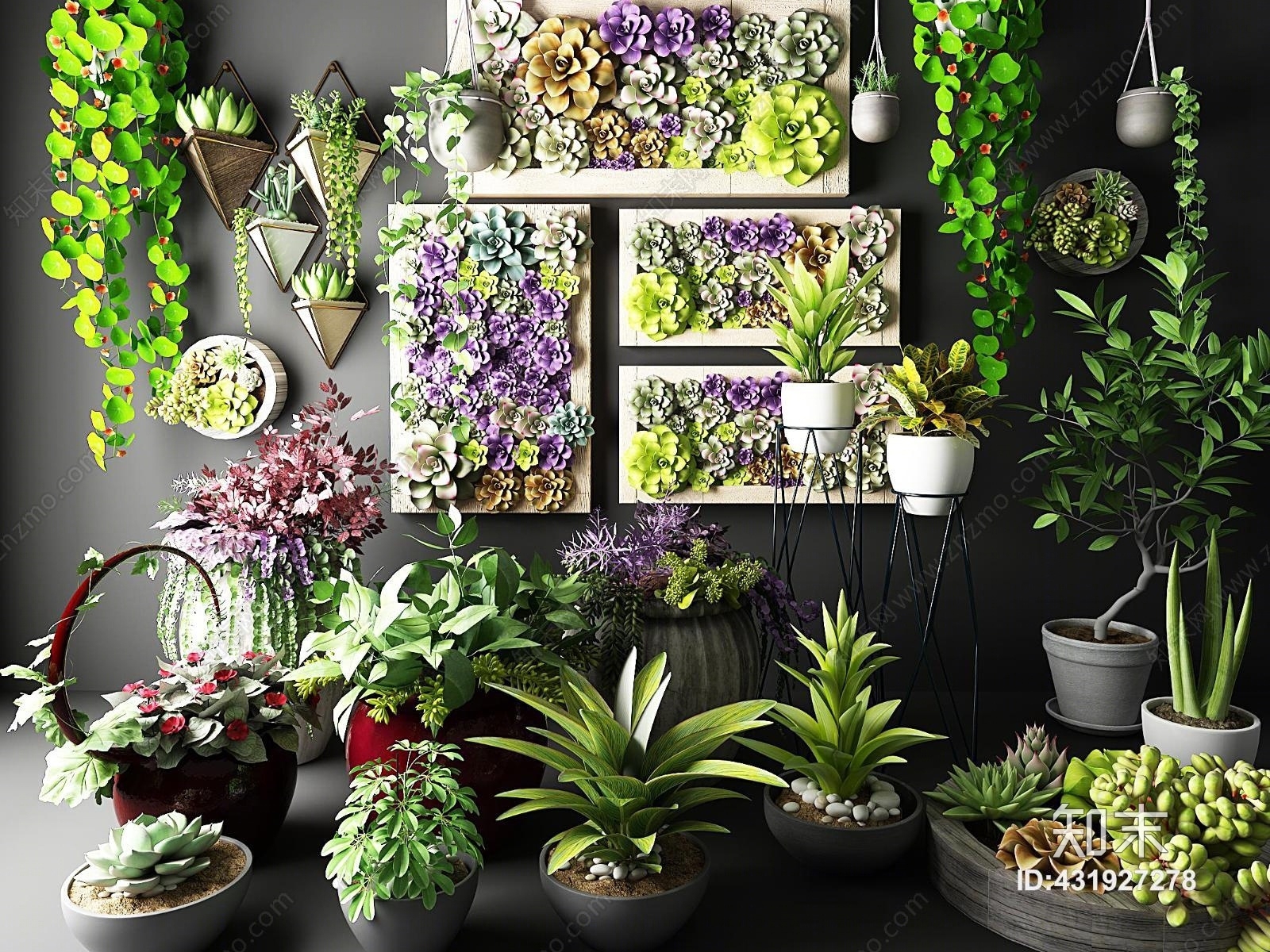 现代植物盆栽多肉3D模型下载【ID:431927278】