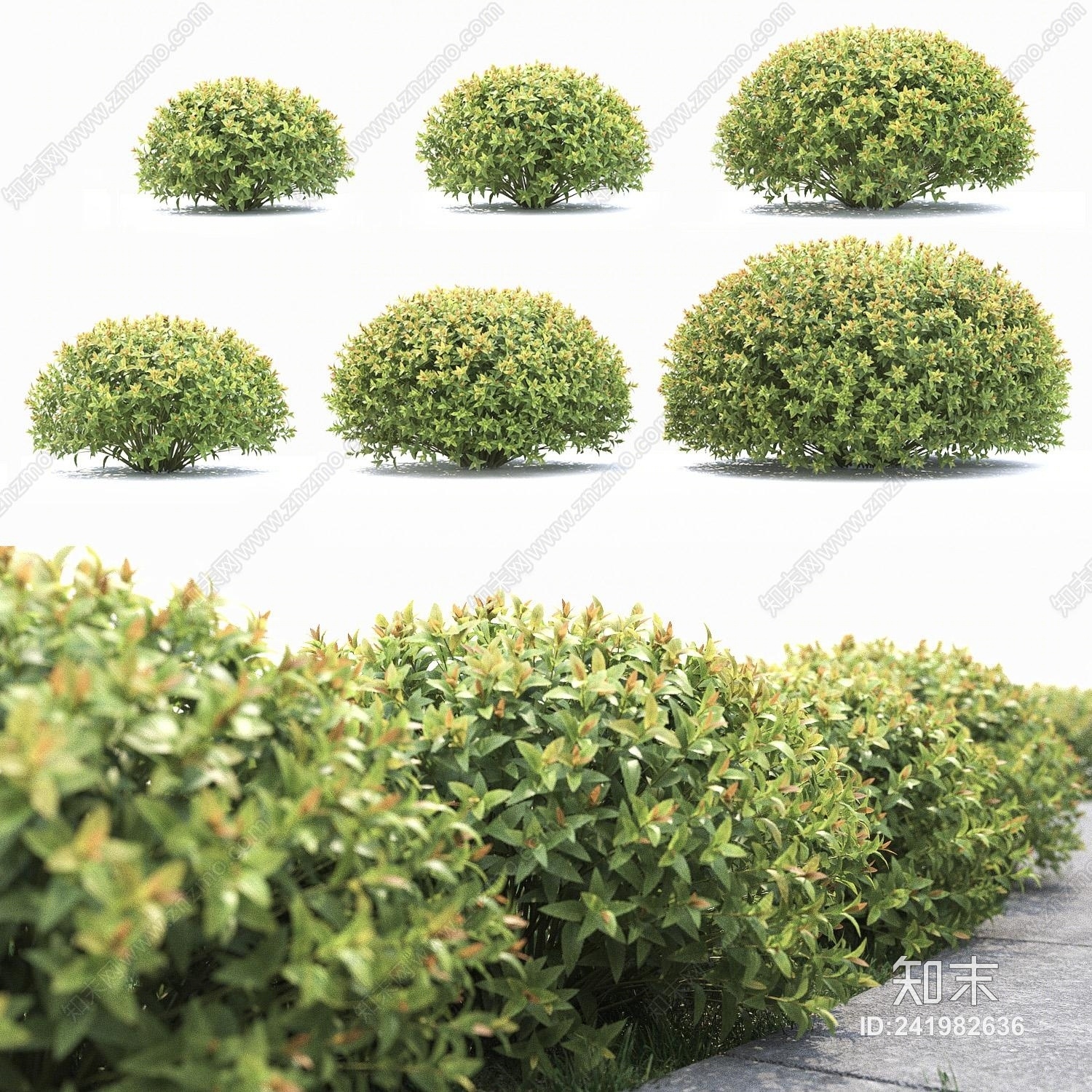 现代球形灌木3D模型下载【ID:241982636】
