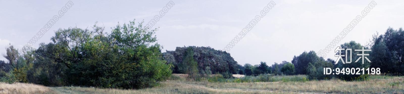 白天户外贴图下载【ID:949021198】