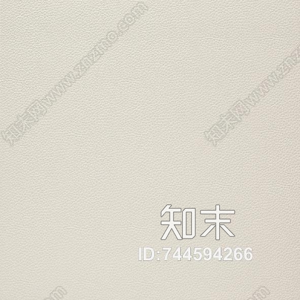 乳白小纹皮革高清贴图下载【ID:744594266】