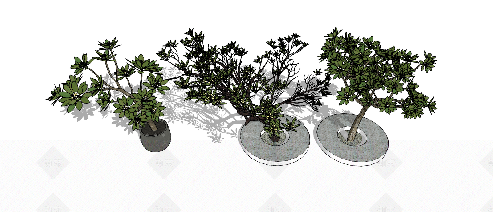 鸡蛋花SU模型下载【ID:132474675】