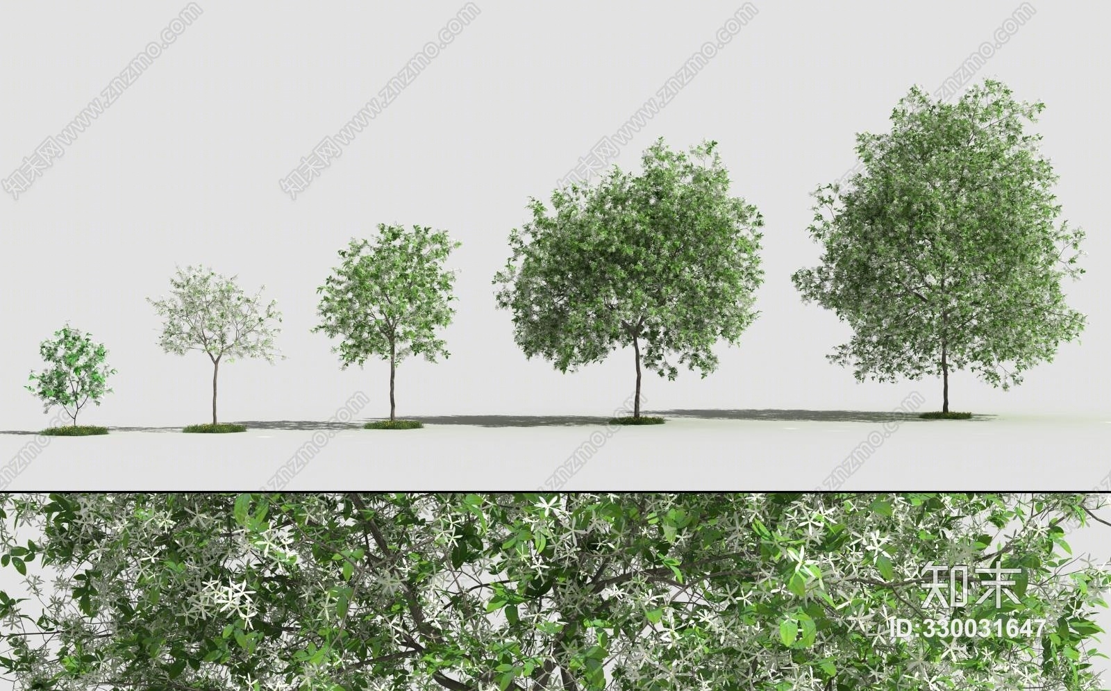 现代树橘子树果树景观树花草花园庭院树植物3D模型下载【ID:330031647】