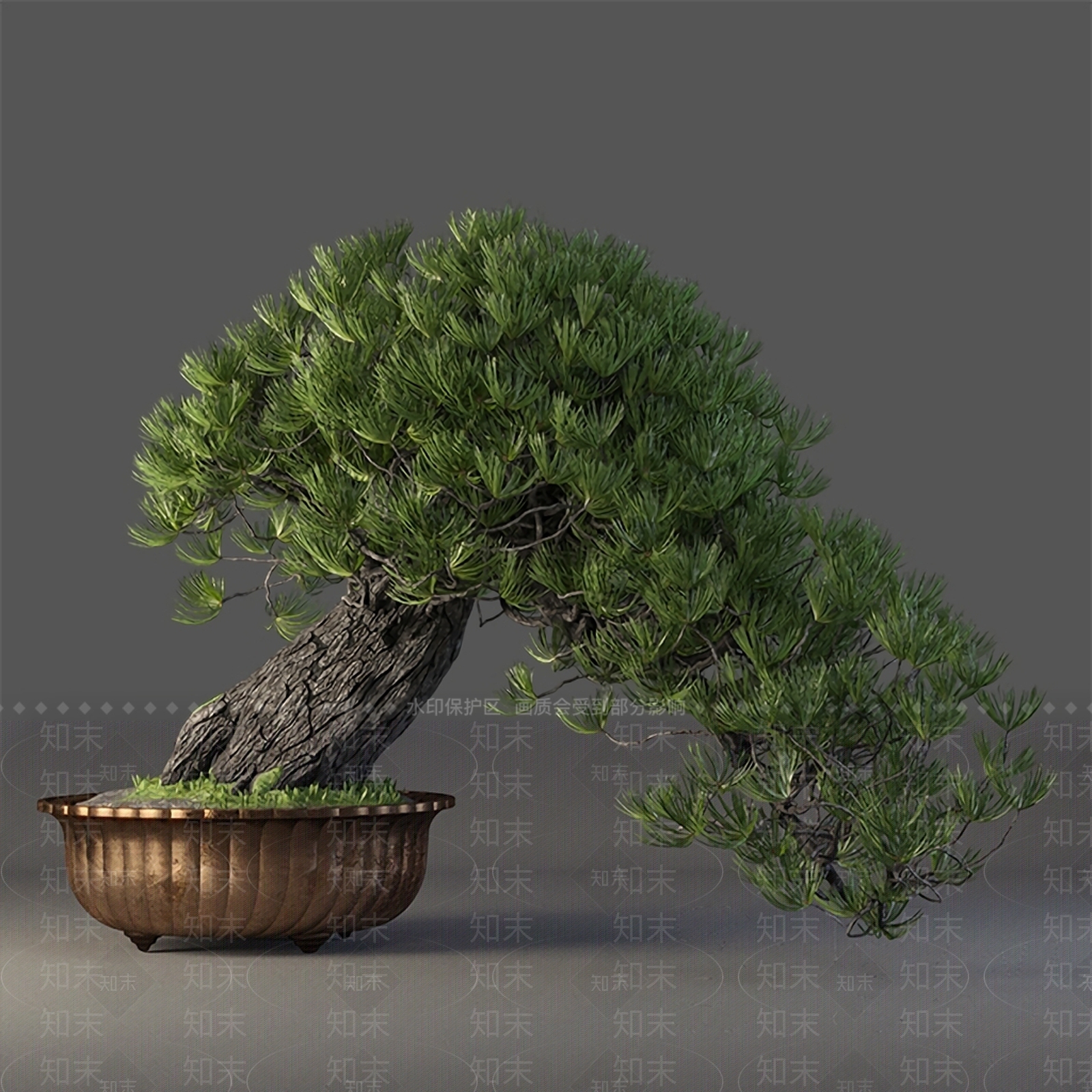 中式盆景盆栽松树3D模型下载【ID:333491819】