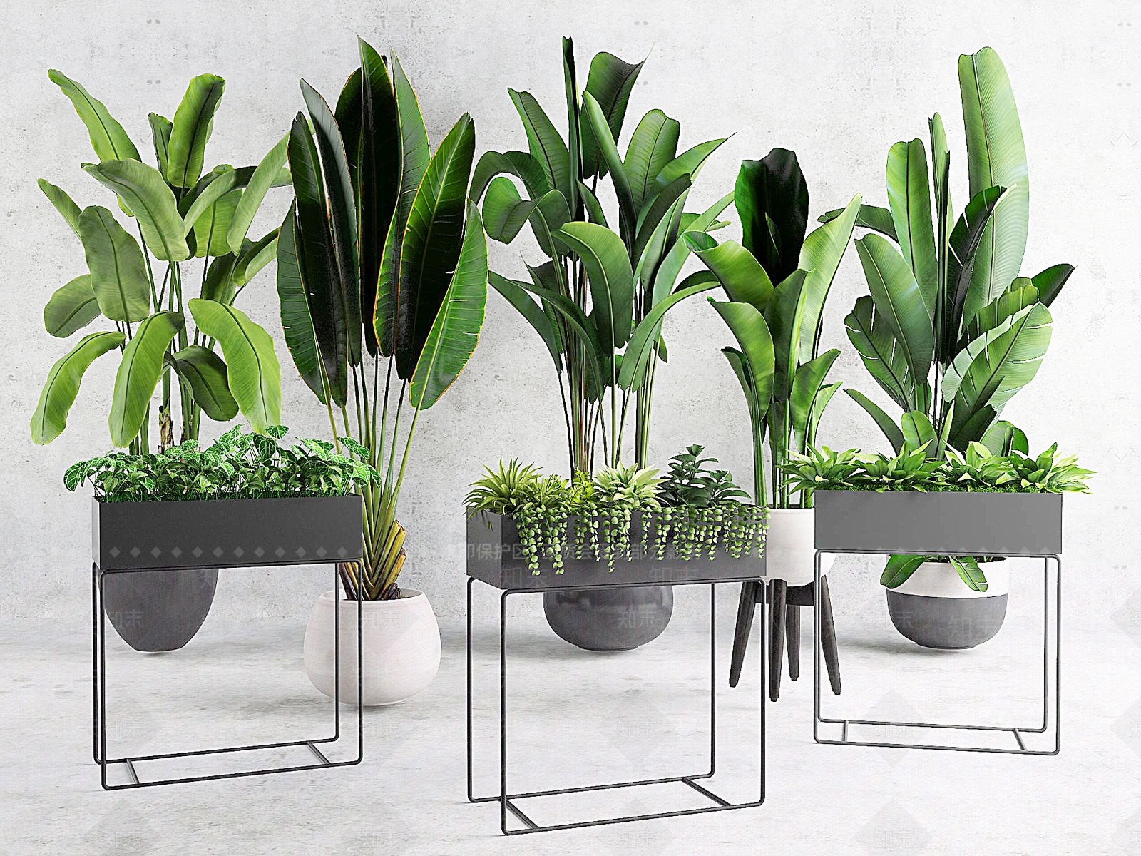 日式植物盆栽花草花架盆景绿植3D模型下载【ID:332542872】