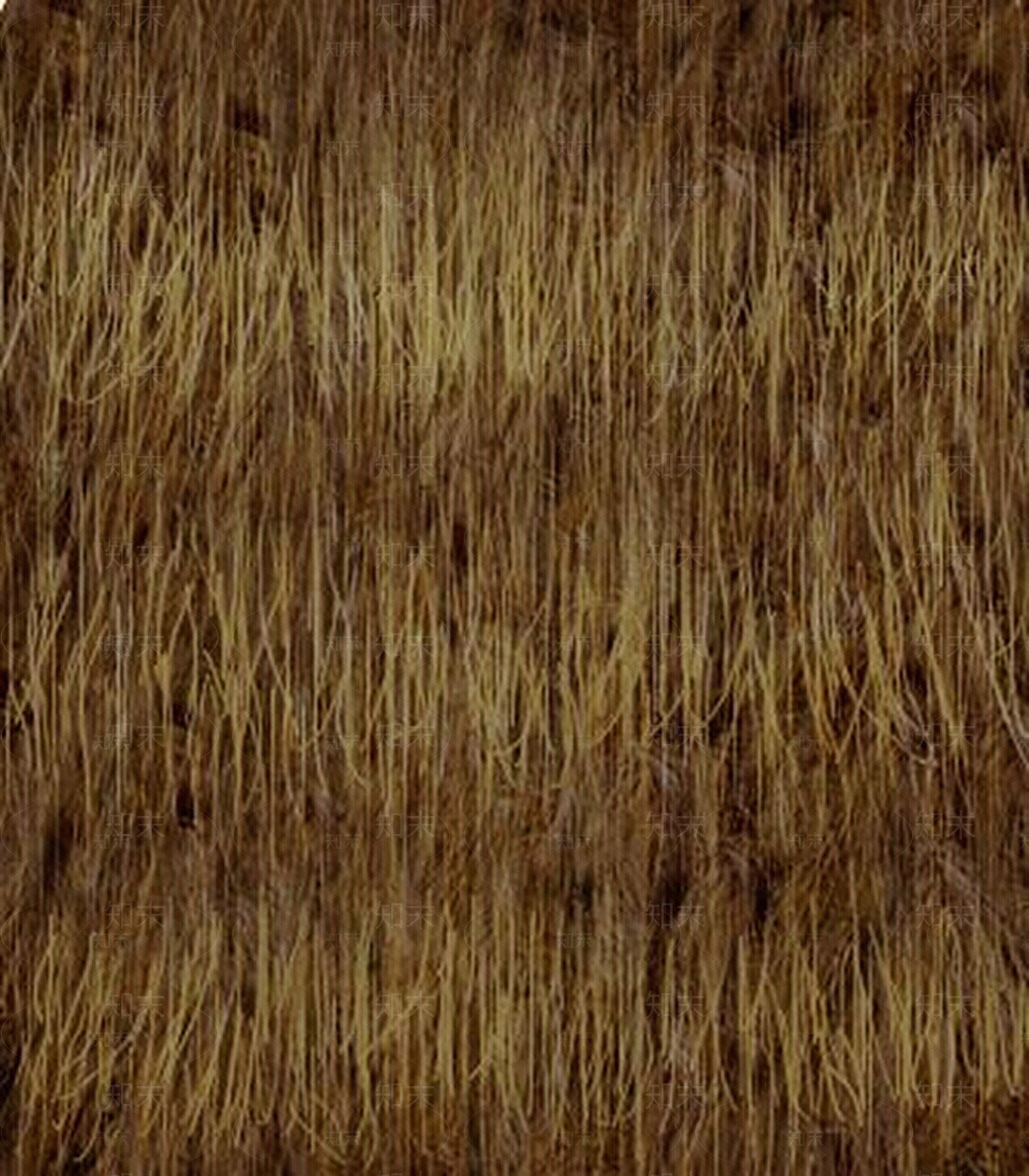 茅草，古建茅草屋顶贴图贴图下载【ID:732824790】