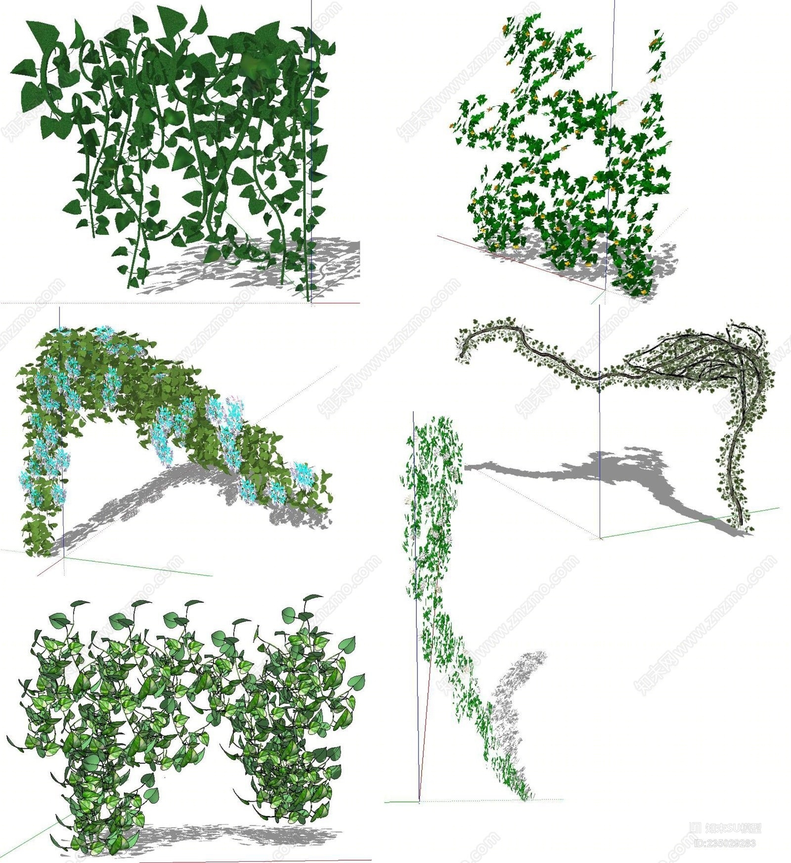 藤本植物SU模型下载【ID:235029283】