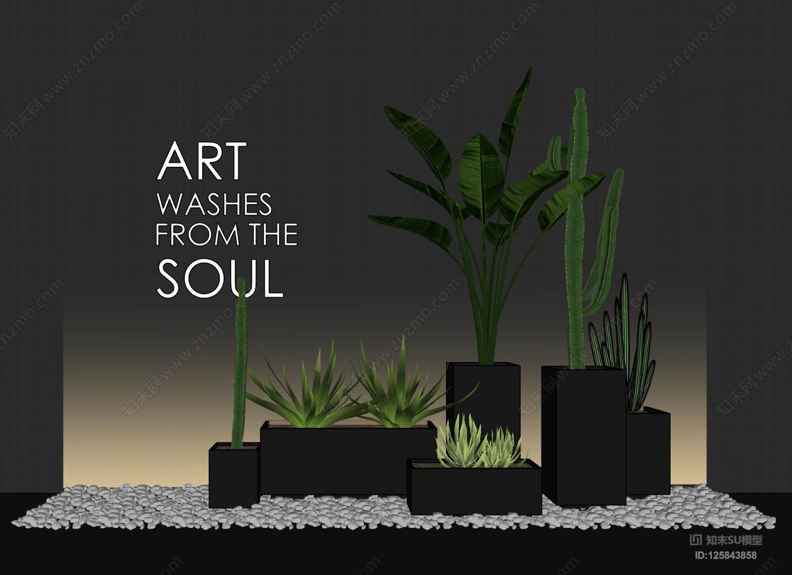 现代个性简约大气仙人掌天坛鸟植物盆景组植物小景SU模型下载【ID:125843858】