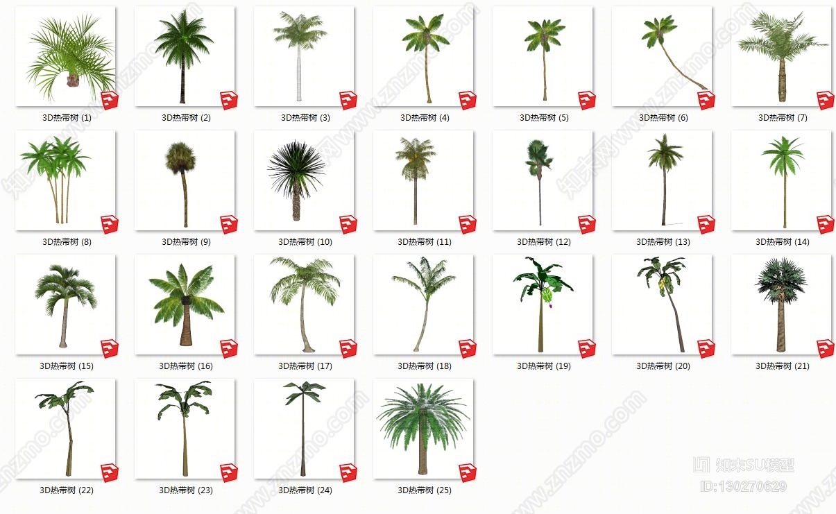植物热带树其他SU模型下载【ID:130270629】
