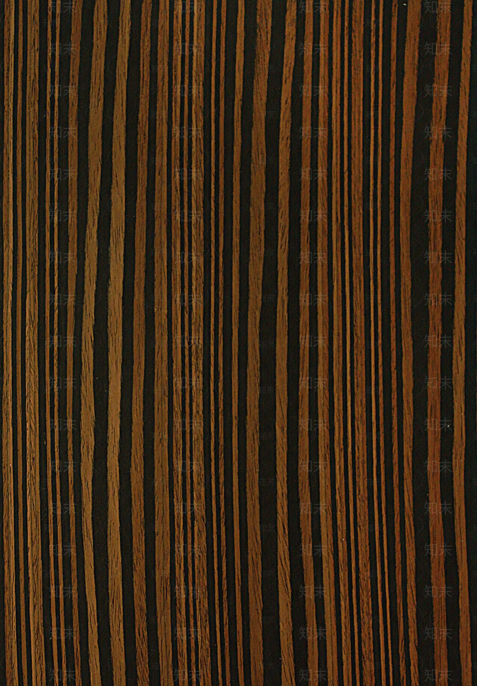 黑檀木亮面木饰面-高清贴图下载