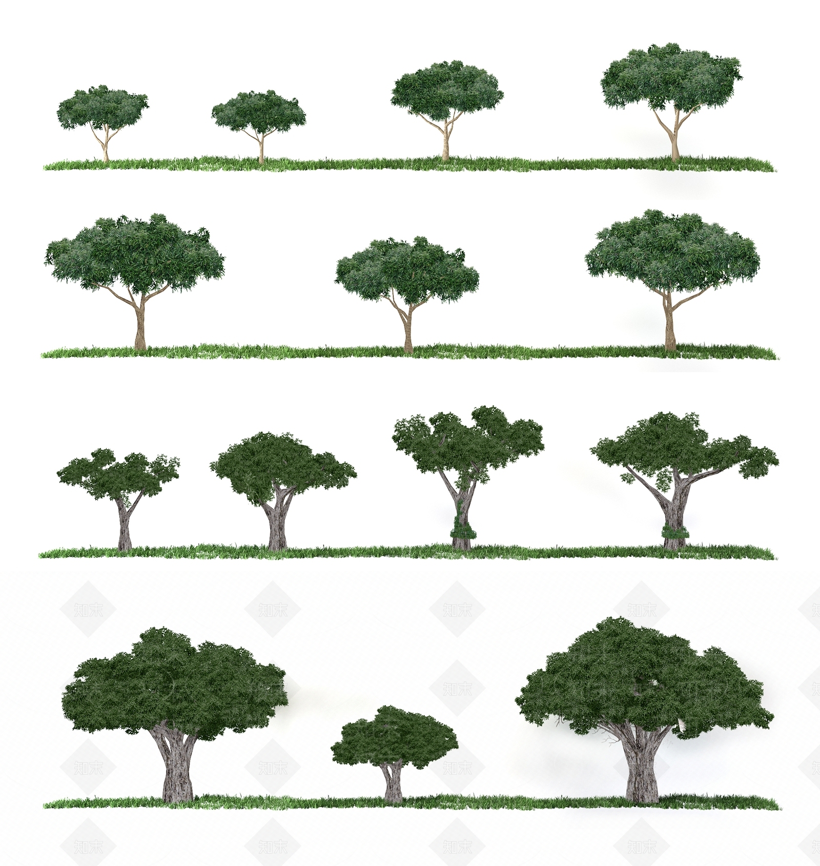 省面植物树简模3D模型下载【ID:333108974】