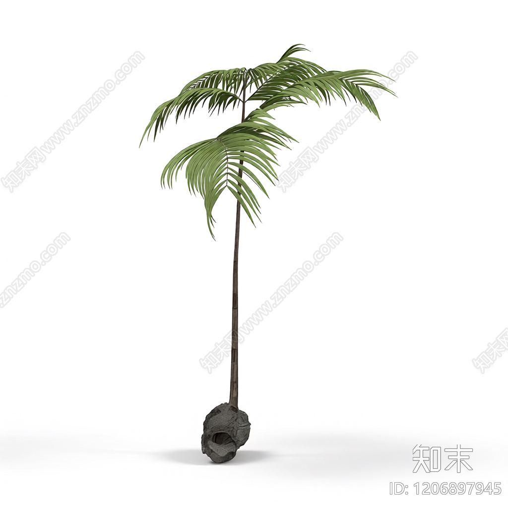 盆栽蕨类植物3D模型下载【ID:1206897945】
