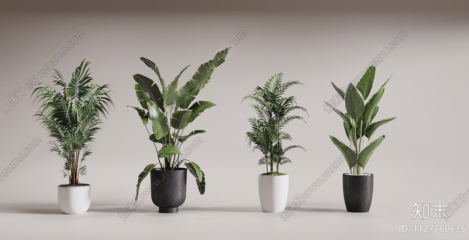 植物盆栽3D模型下载【ID:1127760635】